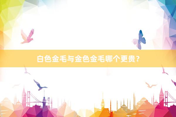 白色金毛与金色金毛哪个更贵？